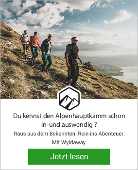 Magazin Banner Wyldaway