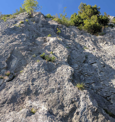 Falesia di Galbiate