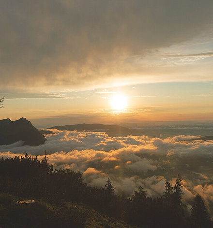 Pure Natur auf der Mitterastenalm auf der Alpenüberquerung Salzburg - Triest.