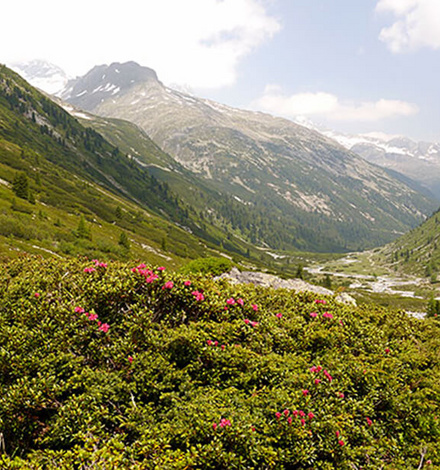 Auf der Route Tegernsee - Sterzing fühlen sich auch weniger geübte Wanderer wohl.