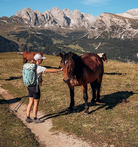 Natur pur: Pferde auf grüner Wiese vor imposanter Bergkulisse – ein Moment zum Innehalten.