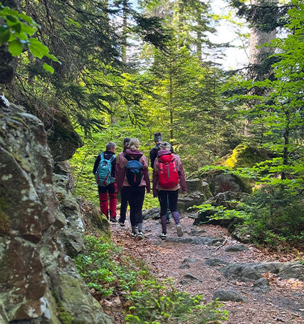 Frischluftkick auf dem Weg zum Riederinfelsen.