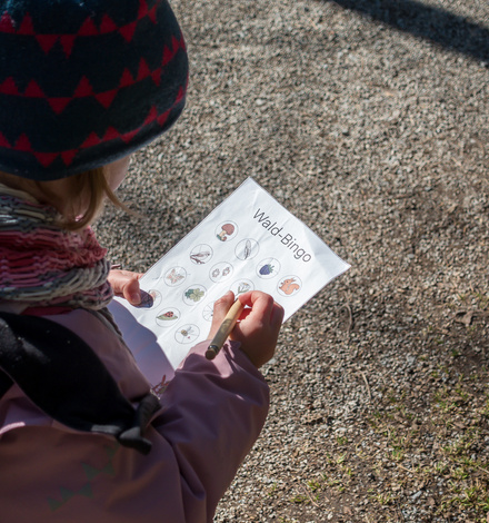Wer findet mehr? Beim Waldbingo musst Du genau beobachten. 