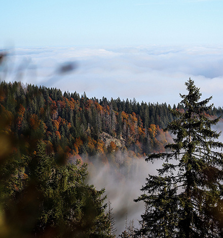 Spiegelung der Oberklasse - der Windgfällweiher ist als Fotomotiv hervorragend geeignet