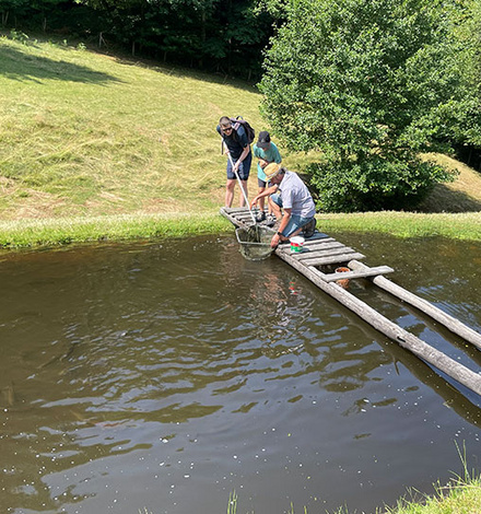 Pause! Entschleunigen zwischen den Reben in den Weing&auml;rten rund um Sasbachwalden. 
