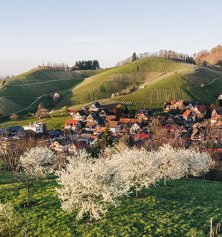Ein Super Natural Ausr&uuml;stungspaket im Wert von &uuml;ber 400 Euro erwartet die Teilnehmenden beim Bergzeit Frischluftkick.