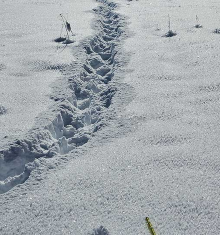 Micheal hat das Ger&auml;t auf mehreren Touren im Schnee getestet.