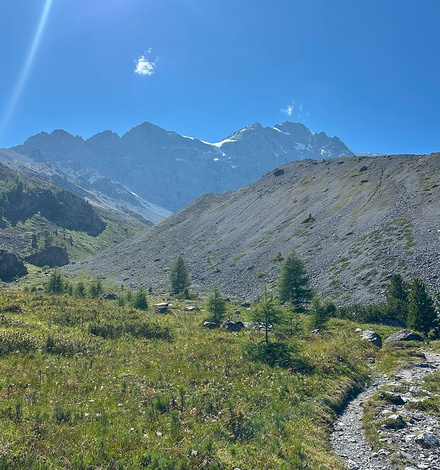 Der erste Teil um den Ortler über den Hintergrat zu besteigen...