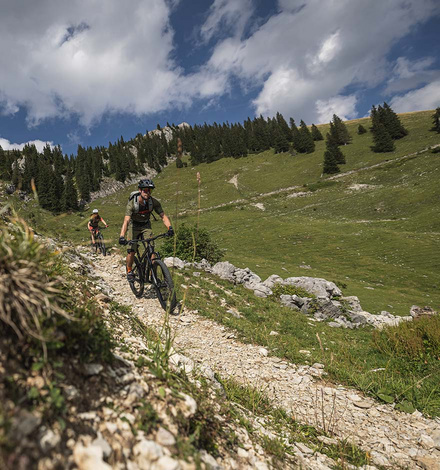 Auf einfachen Trails kommst Du mit einer Standard-MTB-Ausr&uuml;stung gut zurecht. Mit steigendem Anspruch solltest Du Deine Ausr&uuml;stung anpassen. 