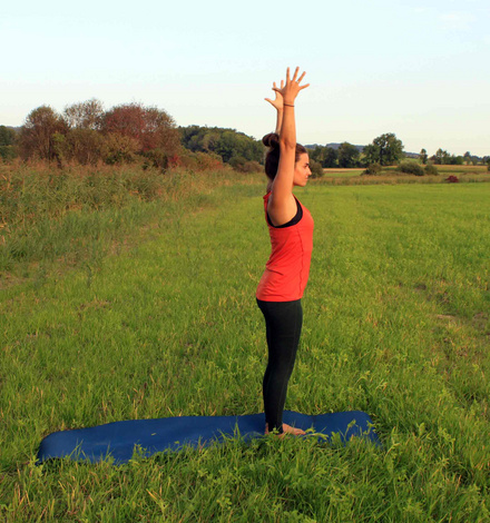 Mit der nächsten Einatmung komme nach oben - die Hände sind über Deinem Kopf.