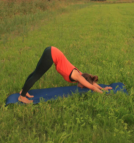 Wechsel mit der nächsten Einatmung in den heraufschauenden Hund...