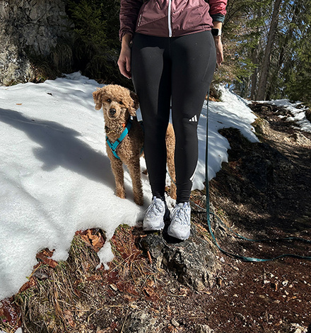 Die Schuhe sind leichte, sportliche Wanderschuhe und perfekt f&uuml;r deine ausgedehnten Spazierg&auml;nge, schnellen Fitness-Hikes oder entspannten Tageswanderungen.