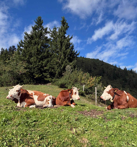 Genussprogramm: Nach dem Trailrun am Vormittag lie&szlig;en es die Teilnehmenden am Nachmittag eher gem&uuml;tlich angehen ...