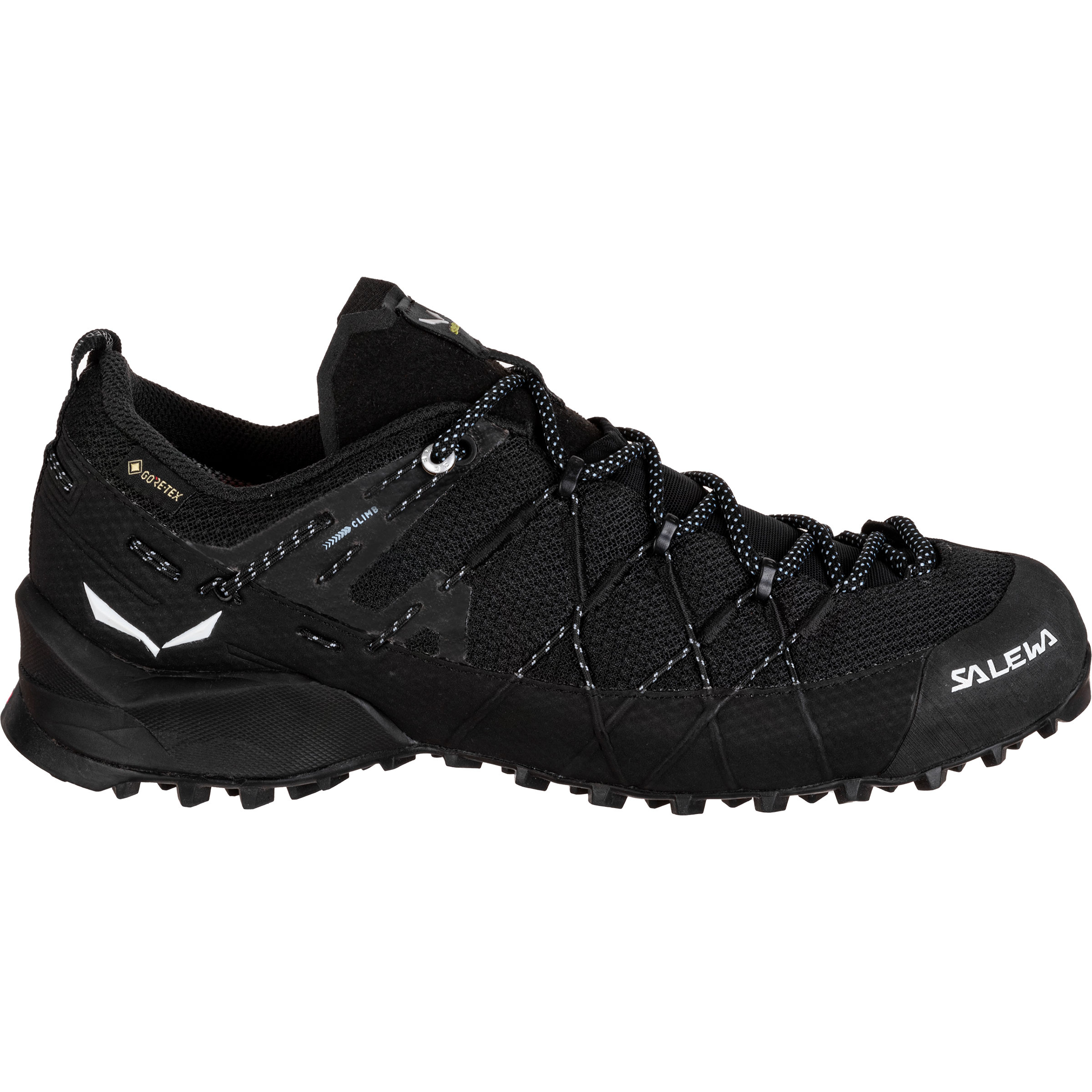 Salewa Damen Wildfire 2 GTX Schuhe