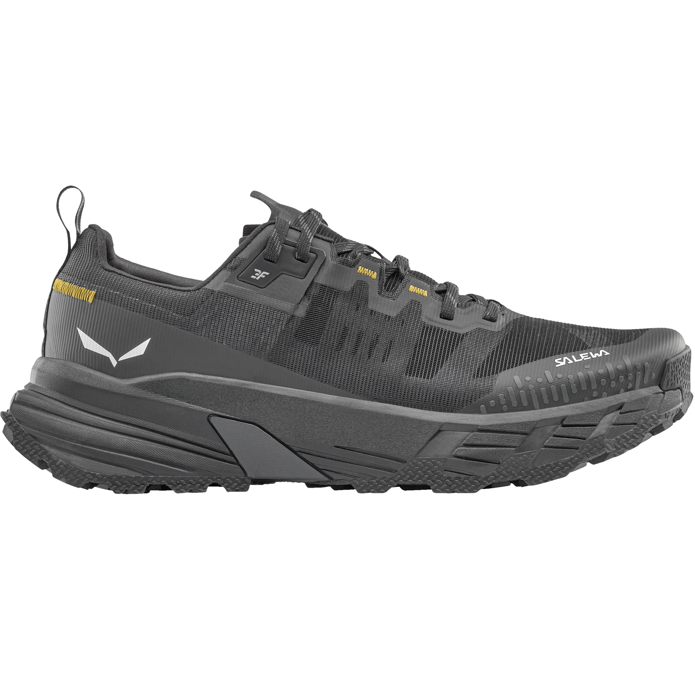 Salewa Herren Pedroc 2 Max Schuhe