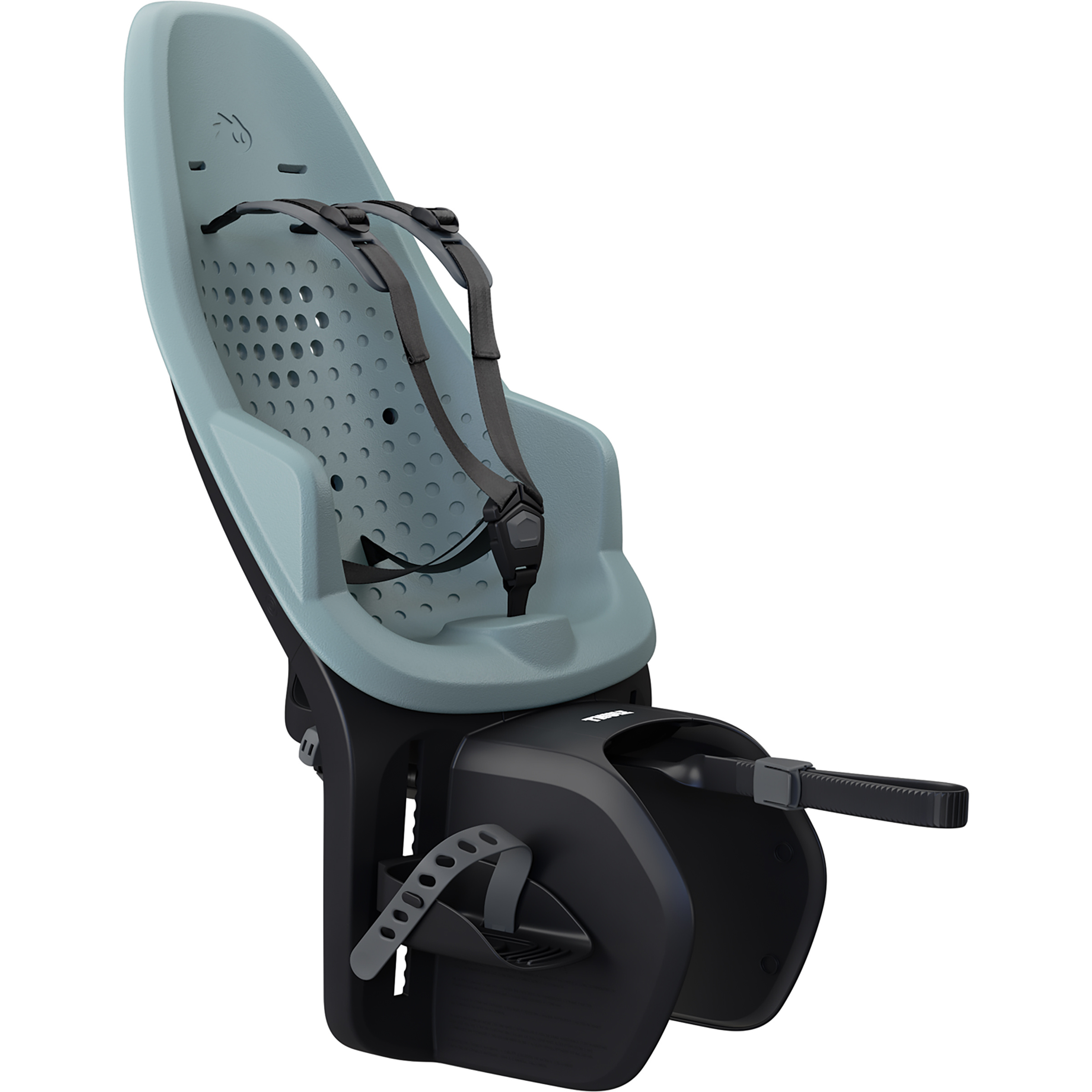 Thule Yepp 2 Maxi Rack Kindersitz