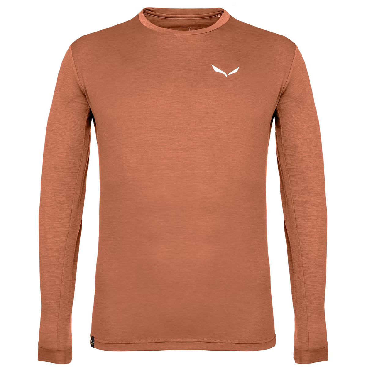 Image of Salewa Uomo Maglie manica lunga Puez Melange DRY