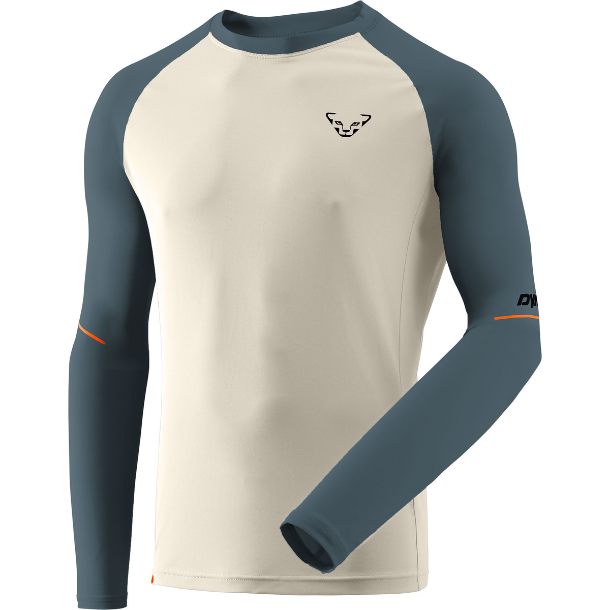 Dynafit Herren Alpine Pro Longsleeve (Größe XXL, grau)