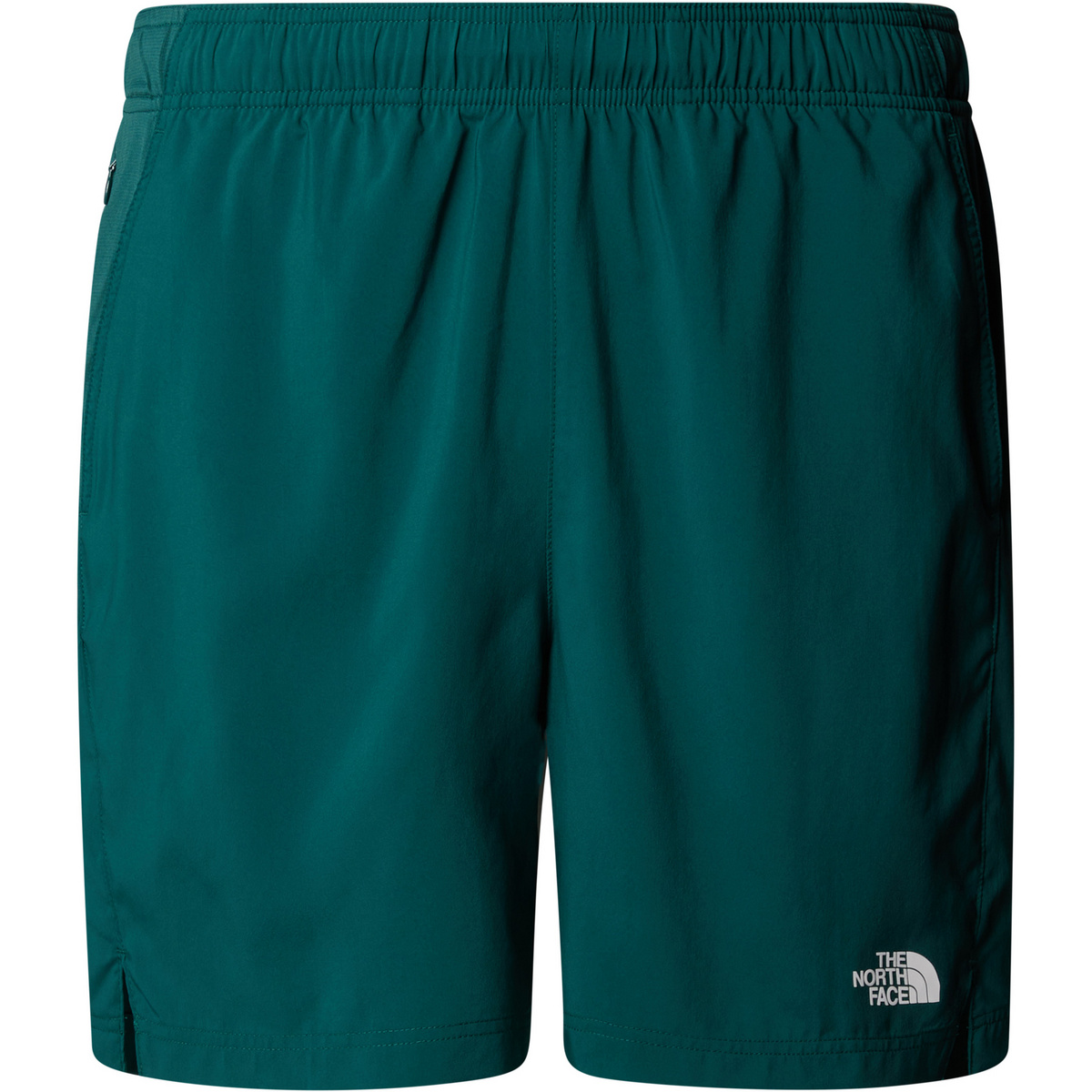 The North Face Herren 24/7 Shorts (Größe L, gruen)