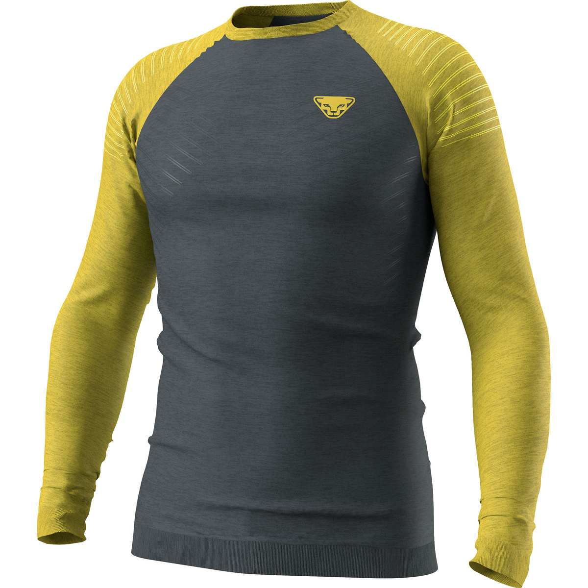 Image of Dynafit Uomo Maglia merino Tour Light