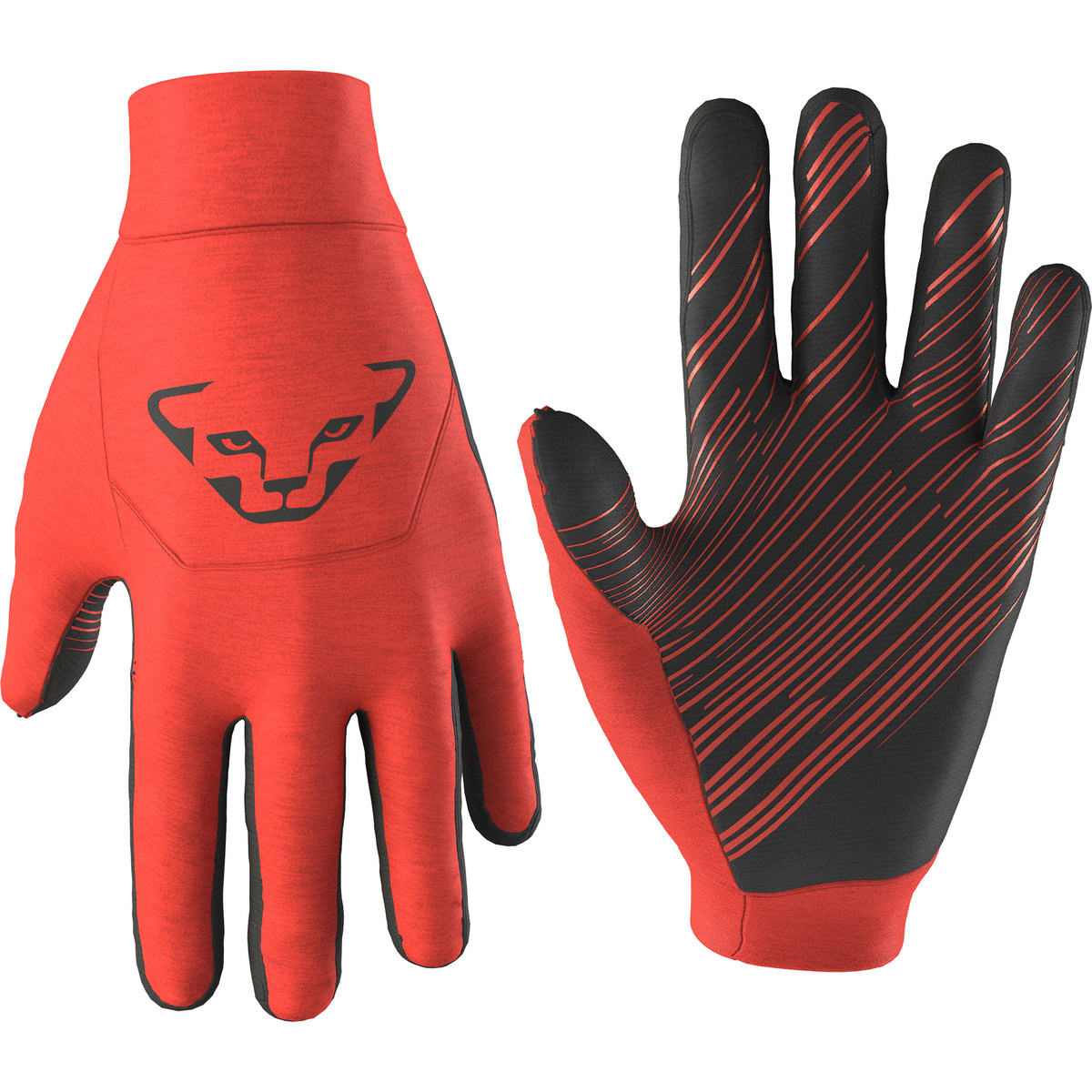 Image of Dynafit Guanti Upcycled Thermal