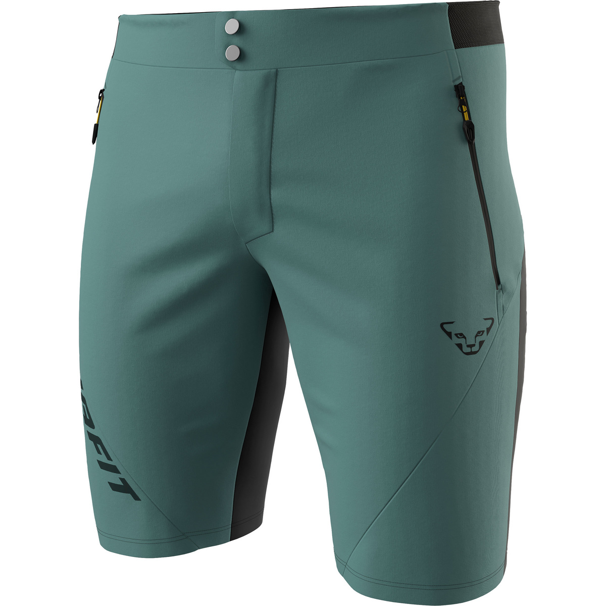 Dynafit Herren Transalper 2 Light DST Shorts (Größe M, gruen)
