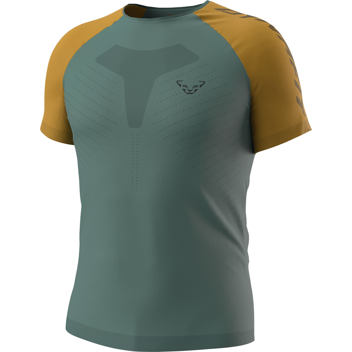 Dynafit Uomo Maglietta Ultra 3 S-Tech (Taglia M , Blu)