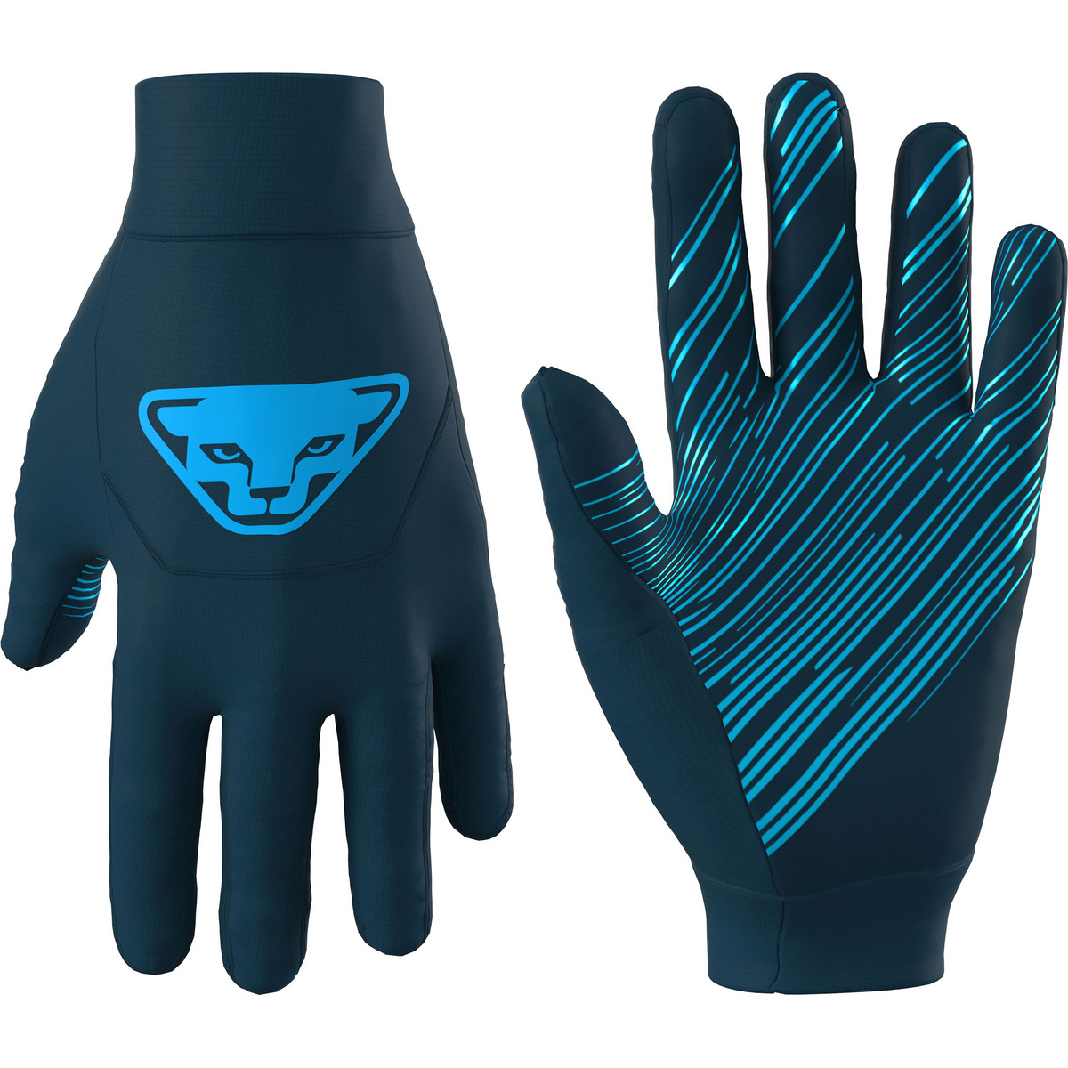 Dynafit Upcycled Speed Handschuhe (Größe L, blau)