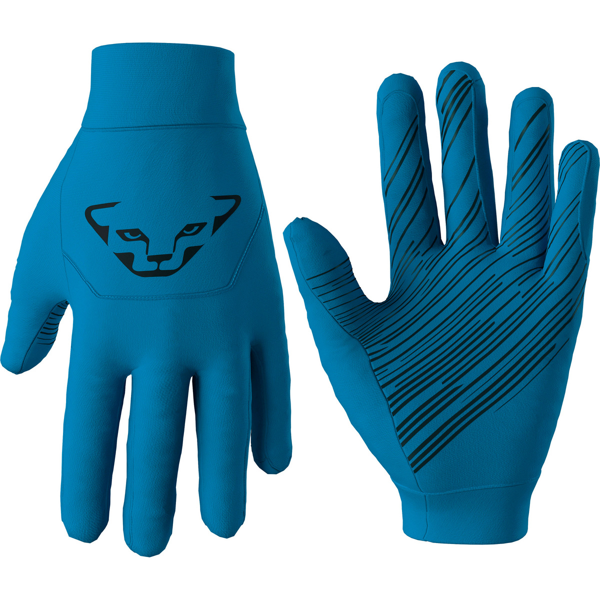 Dynafit Guanti Upcycled Speed (Taglia XS, Blu)