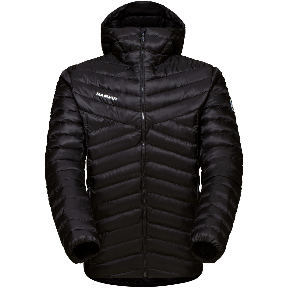Mammut Homme Veste Albula In Hoodie (taille S, Noir)