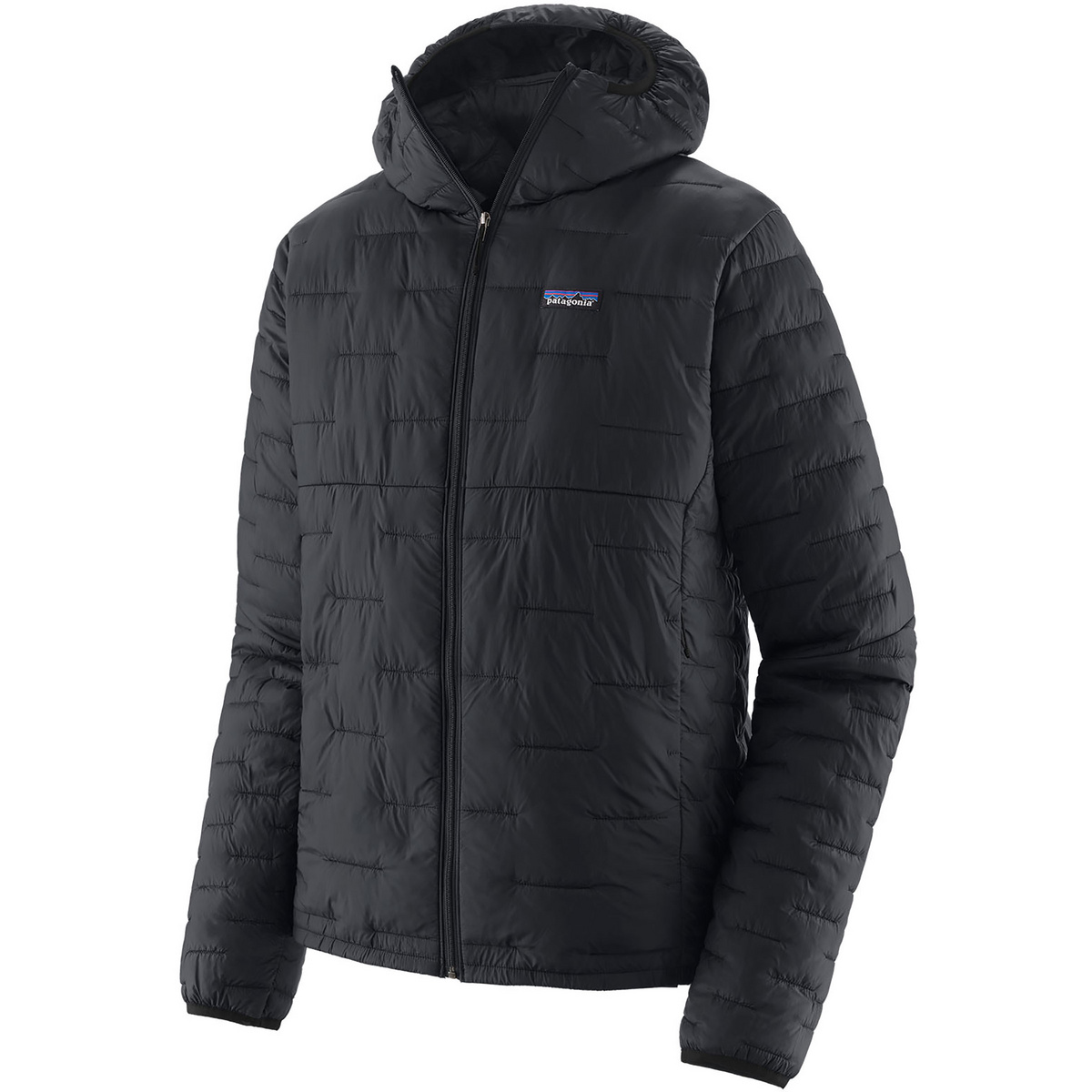 Patagonia Herren Micro Puff Hoodie Jacke (Größe S, schwarz)