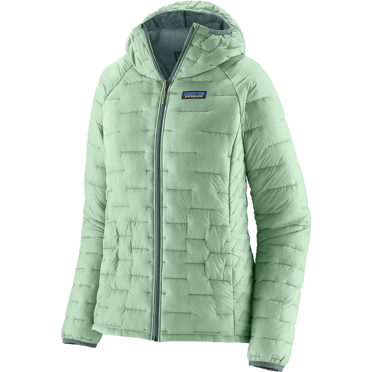 Patagonia Damen Micro Puff Hoodie Jacke (Größe XL, gruen)