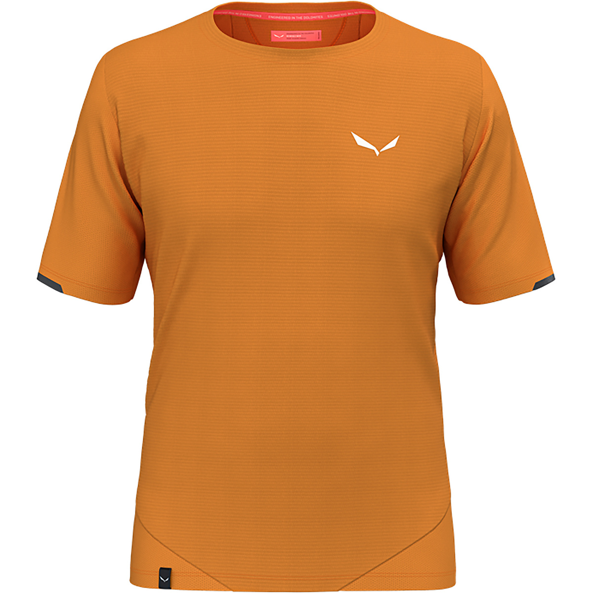 Image of Salewa Uomo Maglietta Pedroc Dry Mesh
