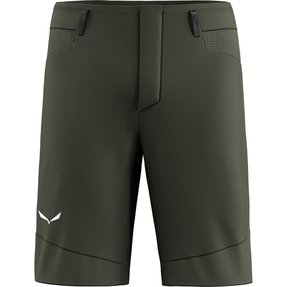 Salewa Uomo Pantaloncini Agner Dst (Taglia M, Verde oliva)