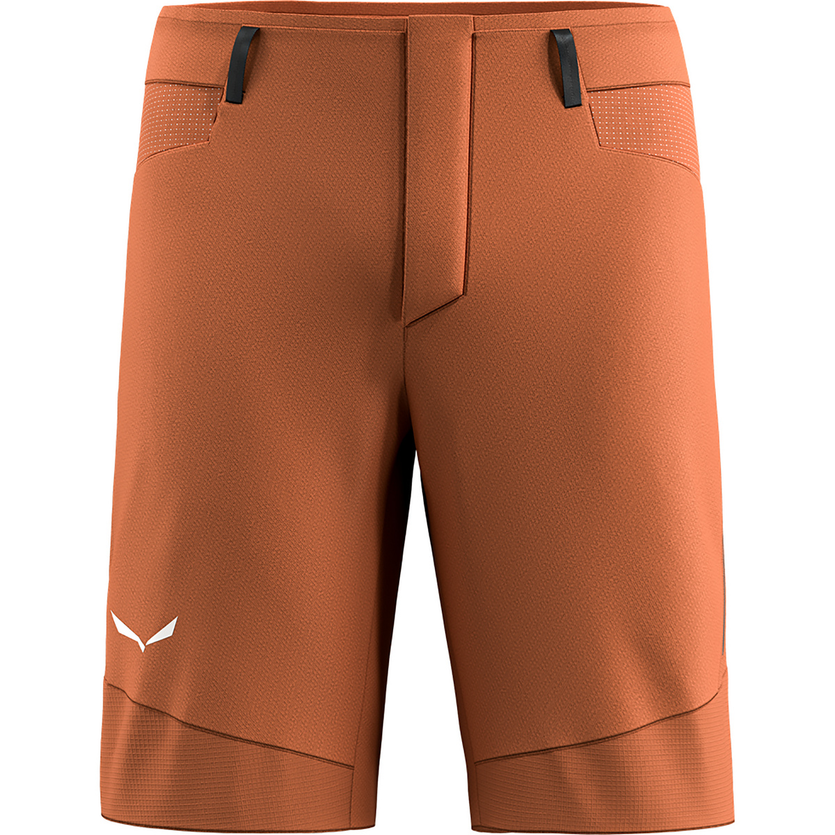 Image of Salewa Uomo Pantaloncini Agner Dst