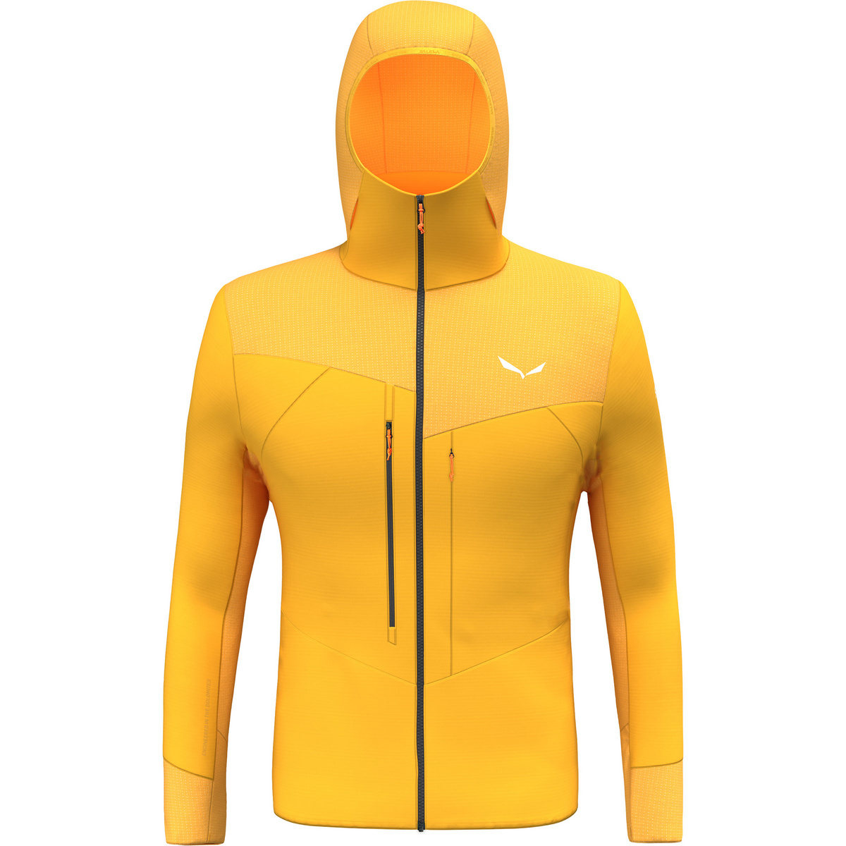 Image of Salewa Herren Agner Pl Hoodie Jacke