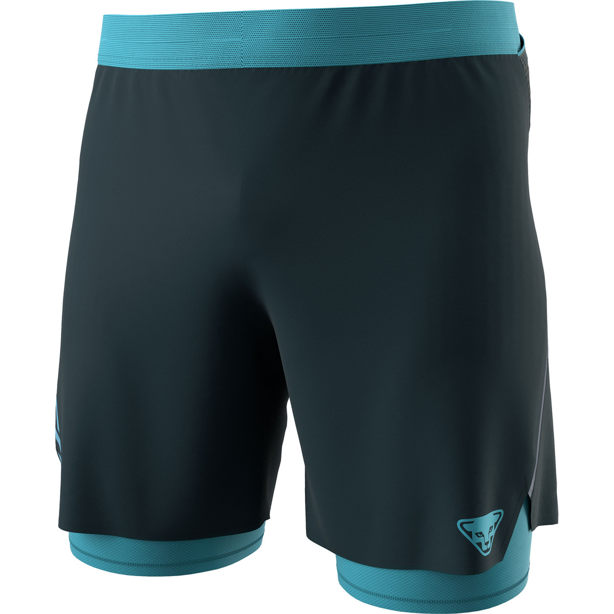 Dynafit Herren Alpine Pro 2/1 Shorts (Größe S, blau)