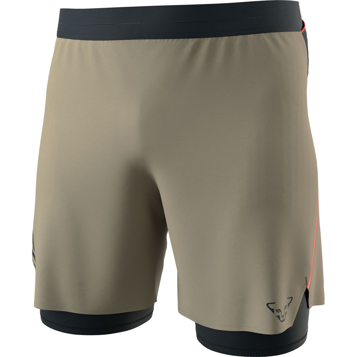 Dynafit Herren Alpine Pro 2/1 Shorts (Größe XL, grau)