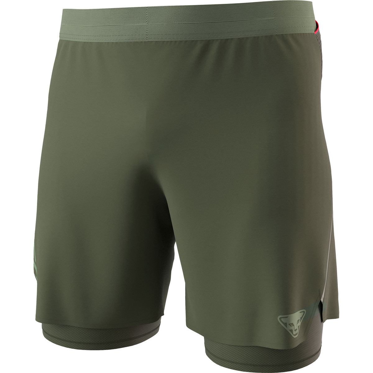 Dynafit Herren Alpine Pro 2/1 Shorts (Größe L, gruen)