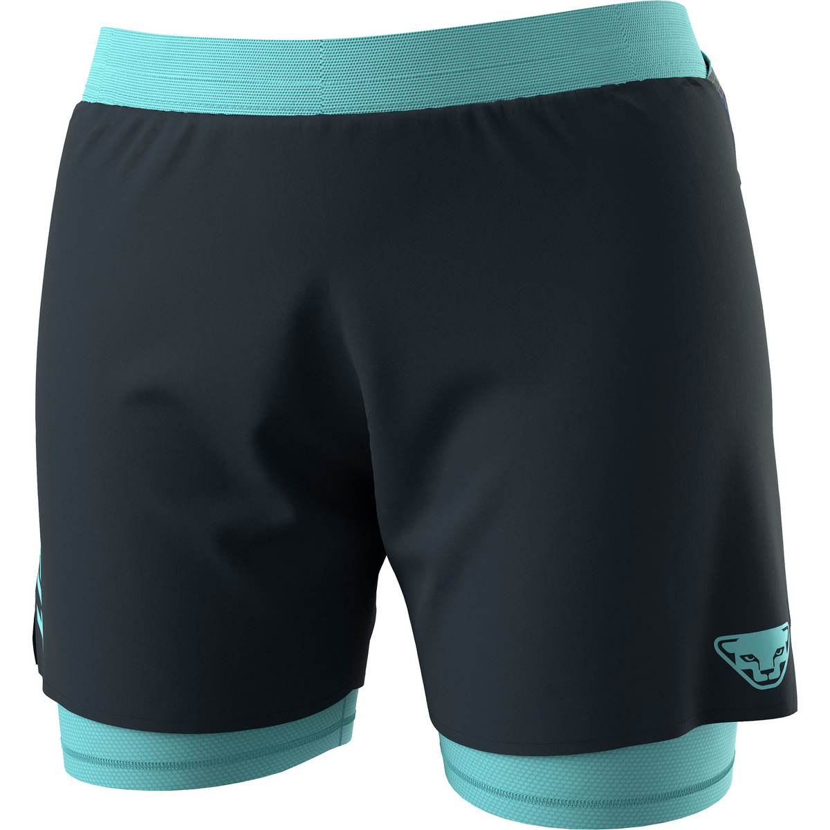 Dynafit Damen Alpine Pro 2/1 Shorts (Größe XL, blau)