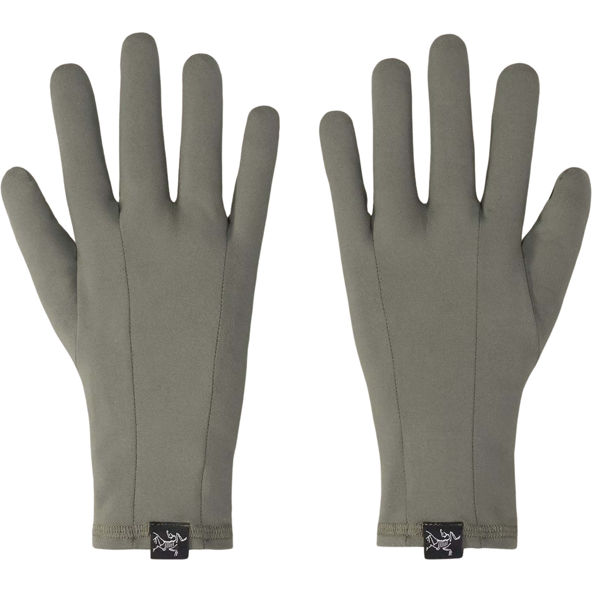 Image of Arcteryx Guanti Rho