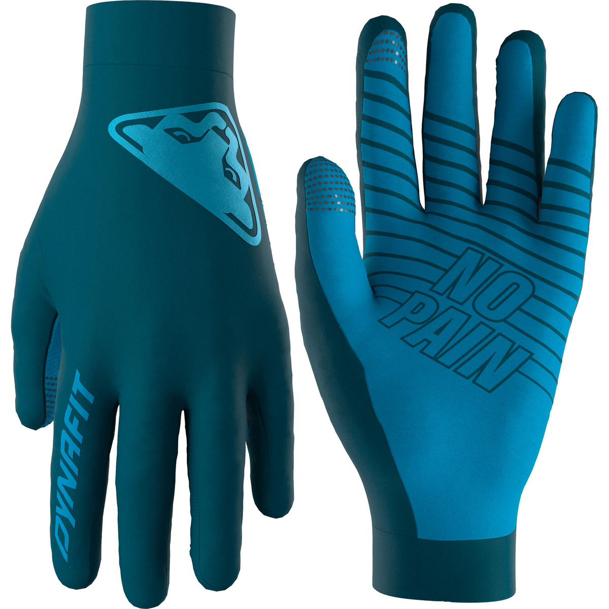 Image of Dynafit Upcycled Light Handschuhe