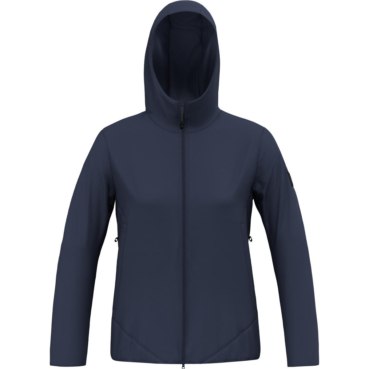 Salewa Damen Fanes 2L PTX 2/1 Jacke (Größe L, blau)