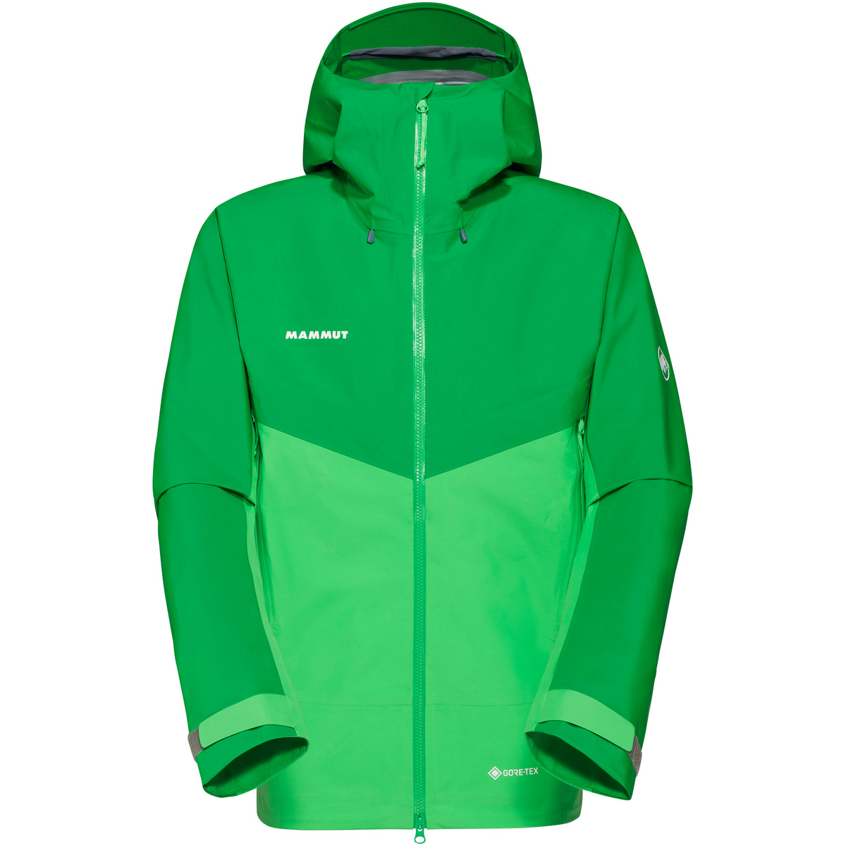 Mammut Herren Crater IV HS Hoodie Jacke (Größe S, gruen)
