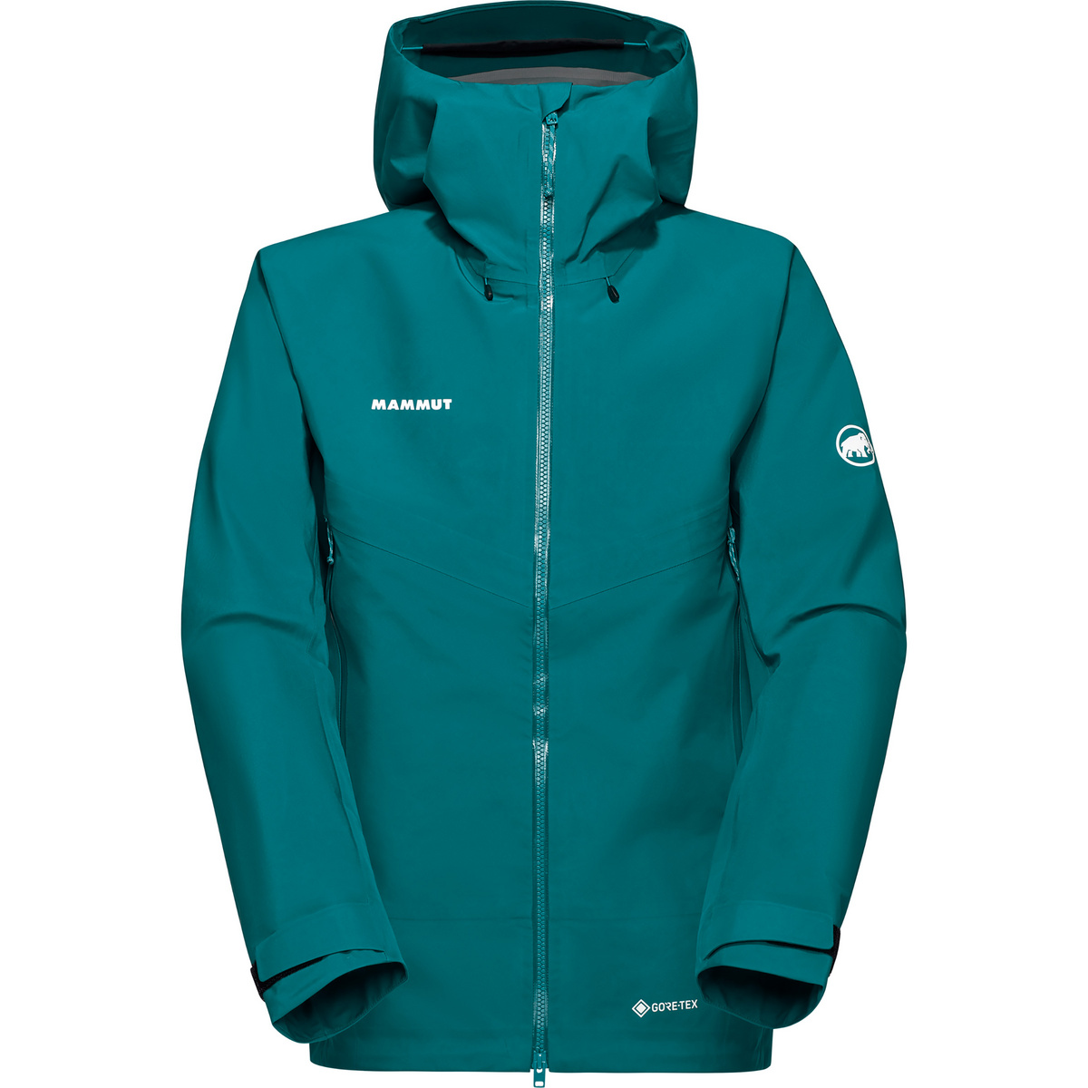 Image of Mammut Uomo Giacca con cappuccio Crater IV HS