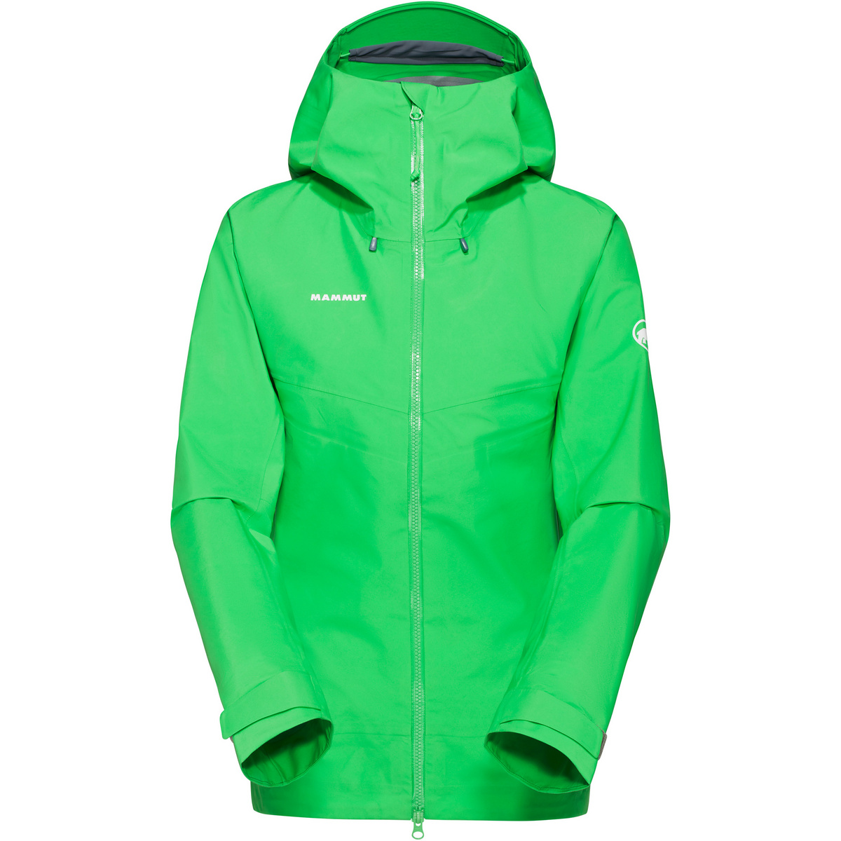 Mammut Damen Crater IV HS Hoodie Jacke (Größe XS, gruen)