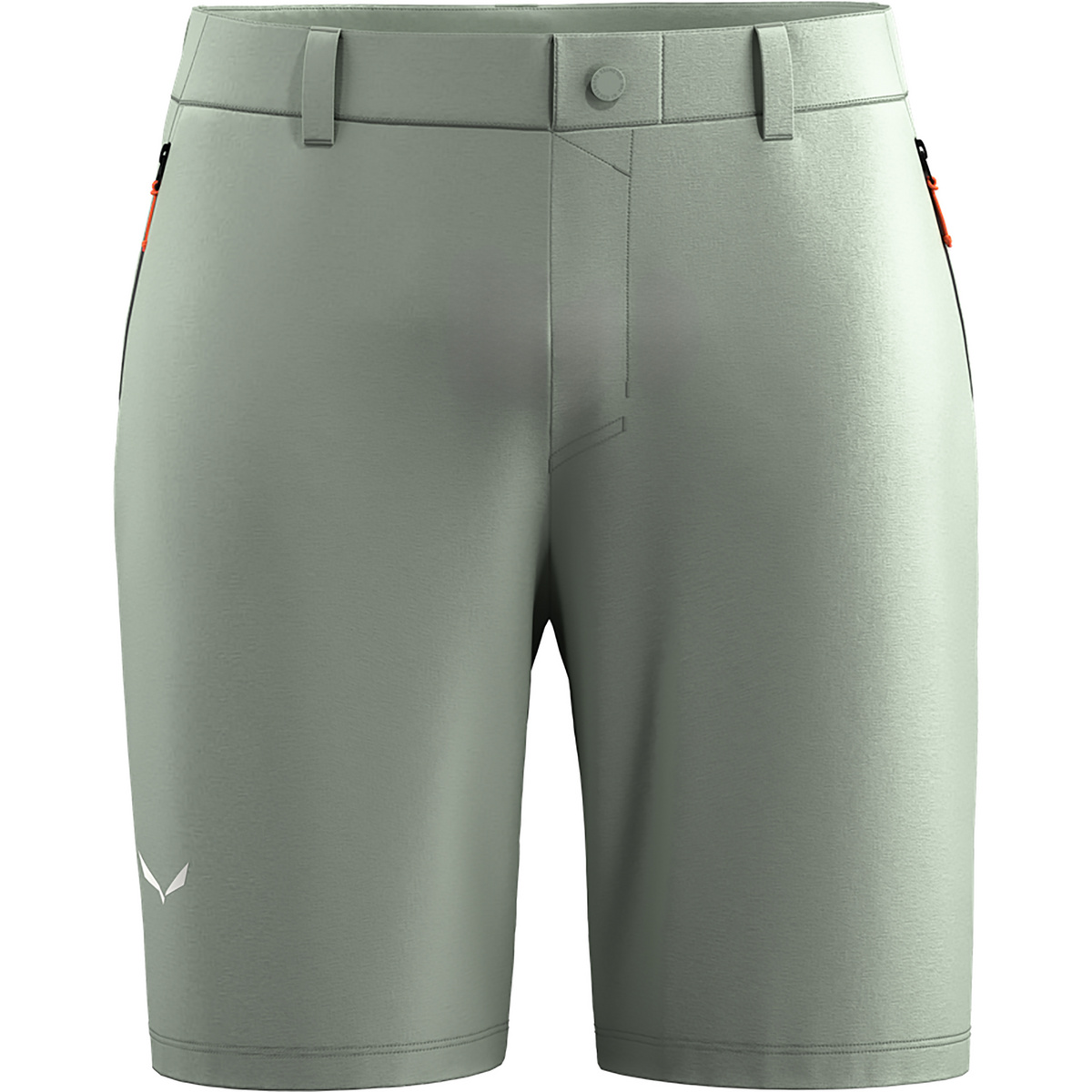 Salewa Herren Puez Talveno DST Shorts (Größe S, grau)