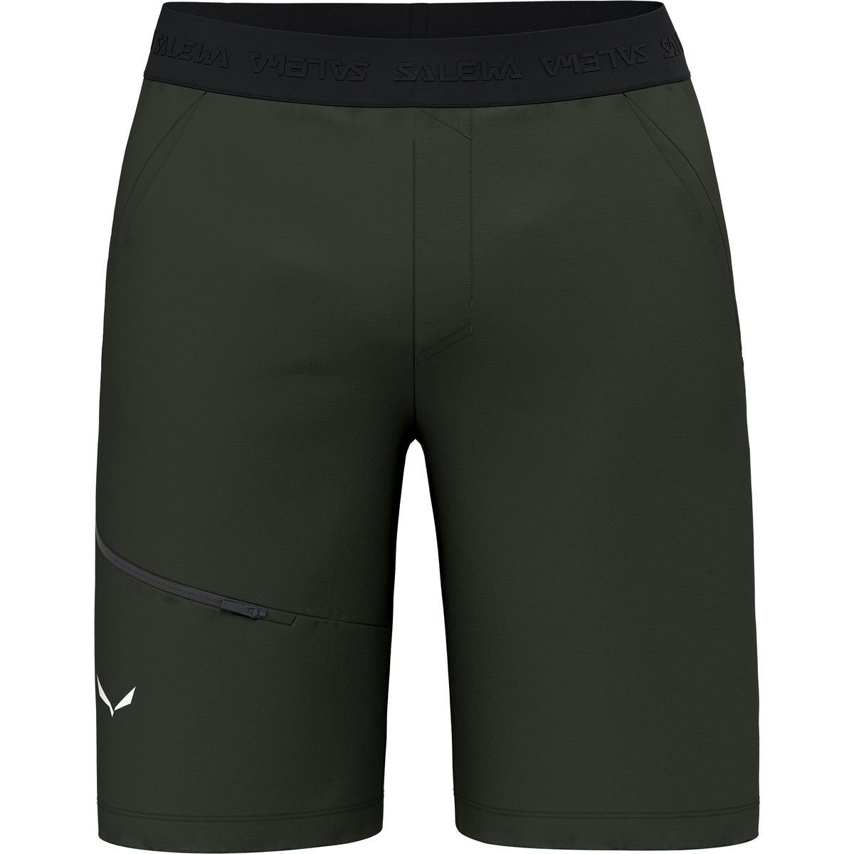 Salewa Herren Puez 4 Shorts (Größe XXL, gruen)