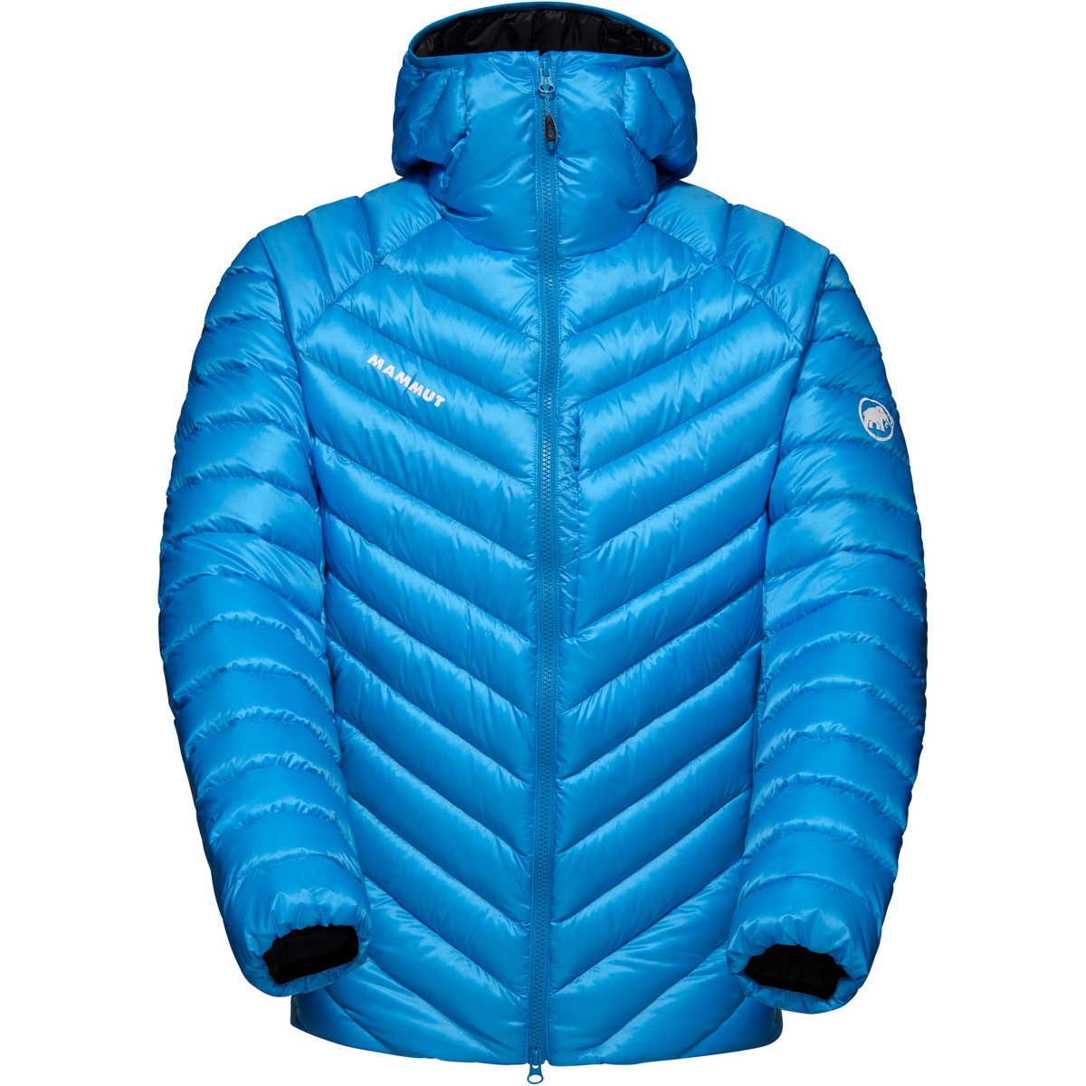 Mammut Herren Broad Peak In Hoodie Jacke (Größe M, blau)