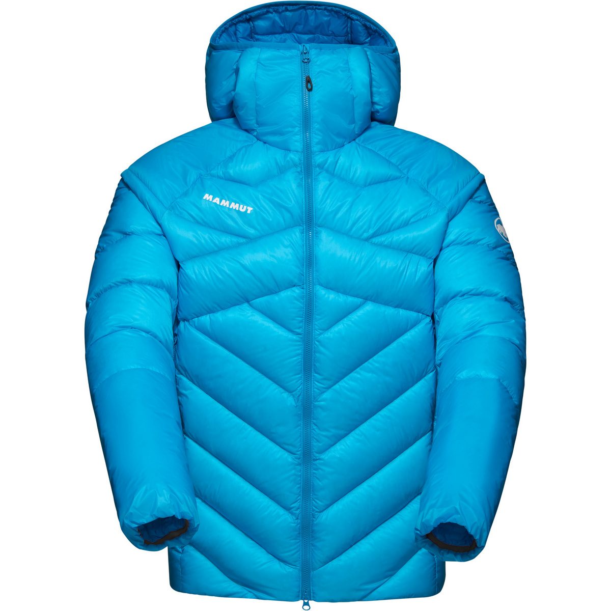 Mammut Herren Taiss In Hoodie Jacke (Größe L, blau)